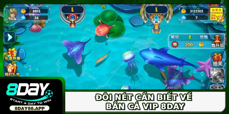 Đôi nét cần biết về bắn cá VIP 8DAY
